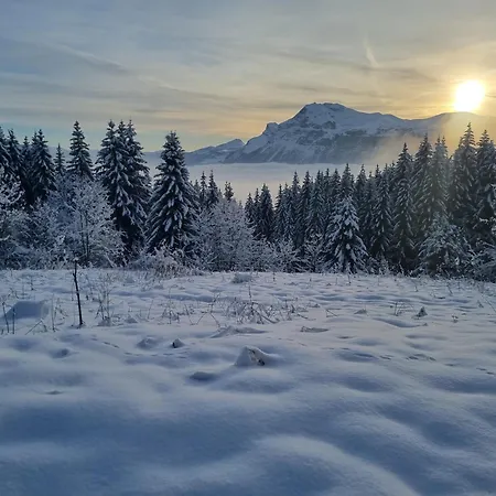 Chalet De La Joux *